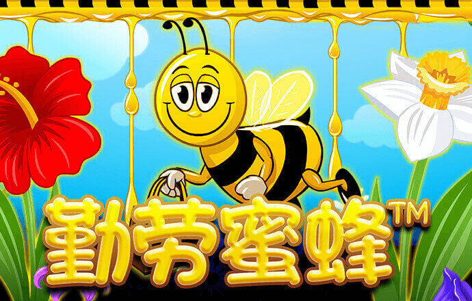 问鼎国际app官方下载截图1